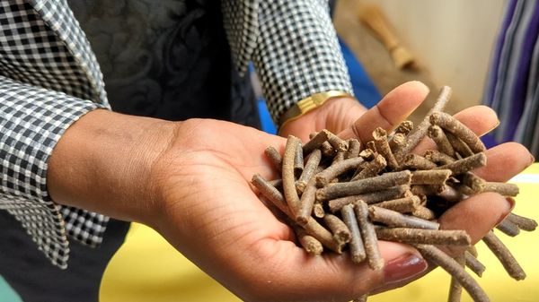 Tchad : inauguration d'une unité spécialisée dans la nutrition animale et la production d'engrais