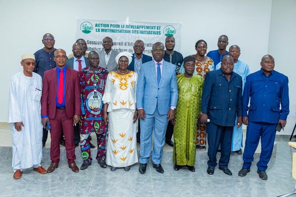 Tchad : L'ONG ADMI lance sa phase opérationnelle avec trois commissions clés (Conseil d'administration)