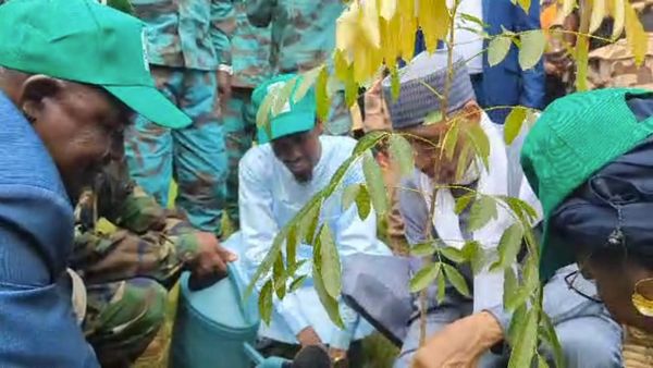 Tchad : lancement de la semaine de l’arbre édition 2025 dans le Logone Occidental