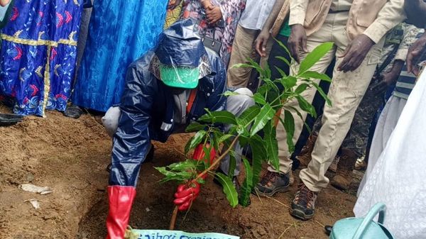 Tchad - Guéra : Lancement de la Semaine Nationale de l'Arbre 2025 à Mongo