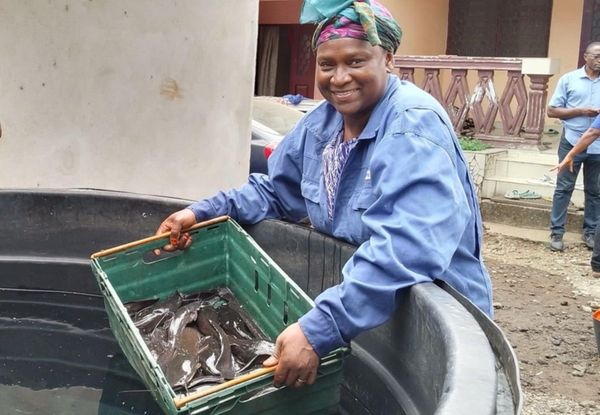 Cameroun : le pari gagnant de la pisciculture pour améliorer les conditions de vie des populations