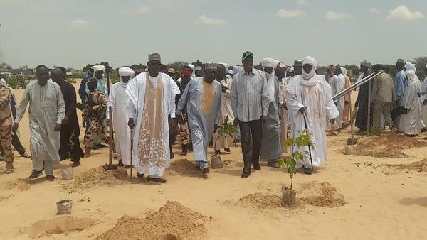 Tchad : 500 arbres plantés pour lutter contre la désertification