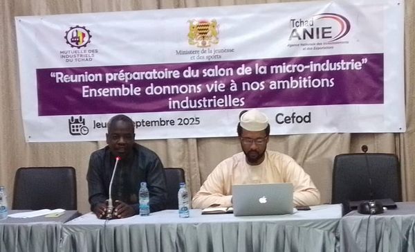 Tchad : vers un Salon de la Micro-Industrie pour stimuler l’économie locale