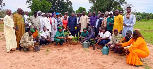 Tchad - Mandoul : Lancement de la Semaine Nationale de l'Arbre