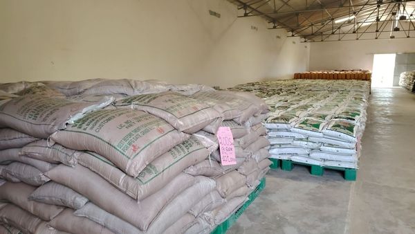 Tchad : lancement de l’opération de vente subventionnée de denrées alimentaires à Mao