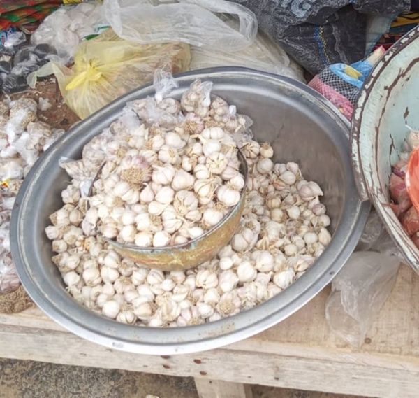 Tchad : hausse du prix de l’ail, entre rareté, spéculation et inquiétudes des consommateurs