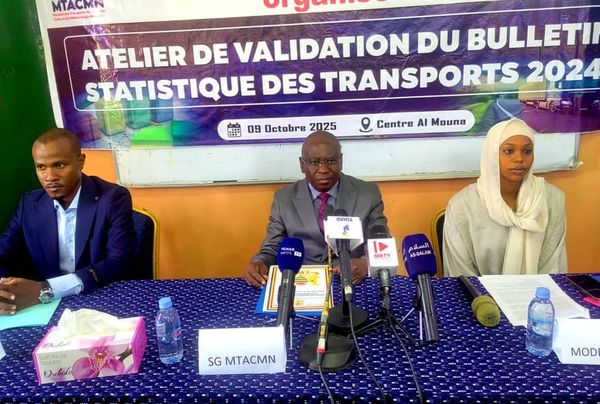 Tchad : bulletin statistique des Transports 2024, examen et validation avant publication