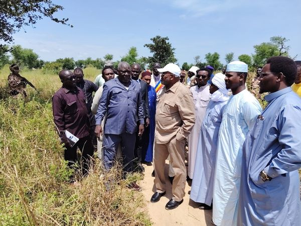 Tchad : Plus de huit hectares identifiés pour la SOPROFIM à Bongor