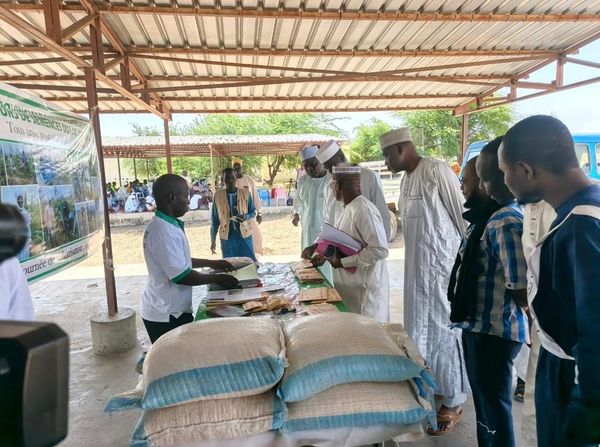 Tchad : La Fédération des producteurs de semences du Lac vulgarise ses succès à Bol