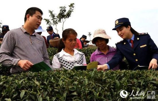 En mars, la ville de Guigang de Guangxi province a procédé à des travaux précis de lutte contre la pauvreté. A cette occasion