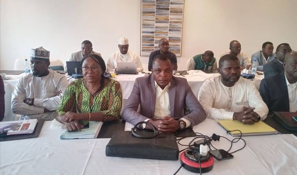 Tchad : Fin d'atelier de validation de la politique minière et du plan stratégique de développement du secteur minier
