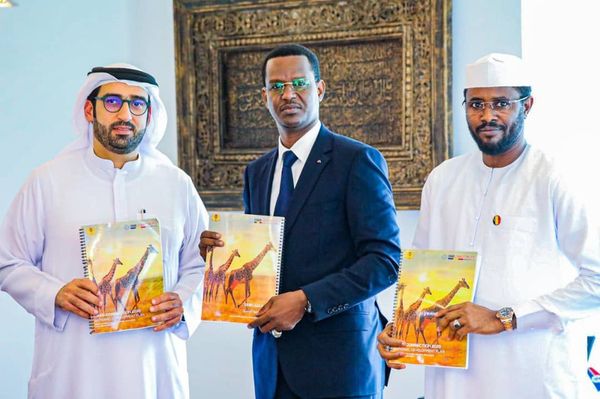 Emirats Arabes Unis-Afrique : le Tchad participe au Sommet sur l’investissement touristique