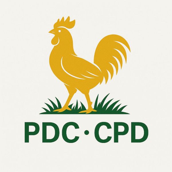 Cameroun : « Liberté d’entreprendre ou liberté d’annoncer ? », se demande le PDC