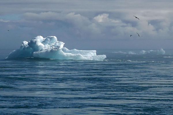 Le changement climatique polaire pourrait amplifier les risques sanitaires mondiaux, selon une étude