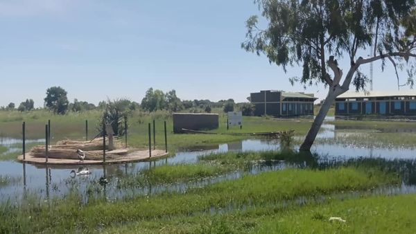 Tchad : à Kinasserom, quand l’eau menace l’éducation d’une génération