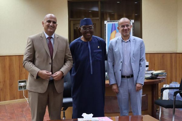 ​Tchad : Le président du Sénat Dr. Haroun Kabadi reçoit l’inter-Ordre des pharmaciens d’Afrique