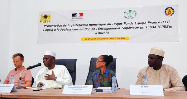 Tchad : à Abéché, lancement du projet APES