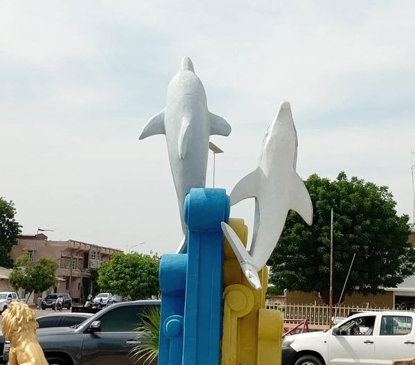 N'Djamena : Que font des dauphins au cœur du Sahel ?