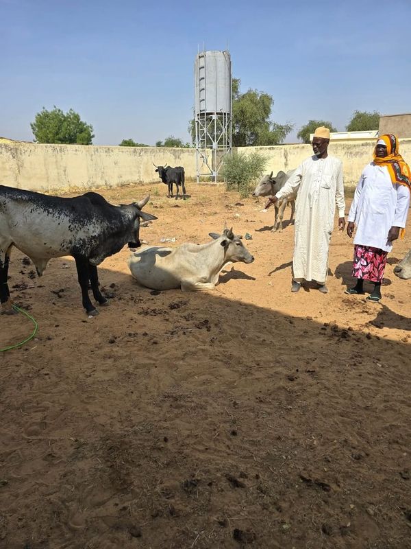 Tchad : Des équipements pour l'autonomisation des femmes dans le secteur du séchage de viande à Goz-Beïda