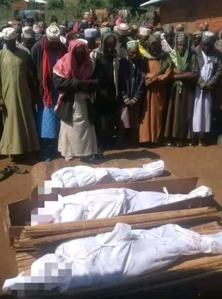 Crise anglophone au Cameroun : Trois civils Mbororos tués par les séparatistes à Wowo (Donga Mantung)