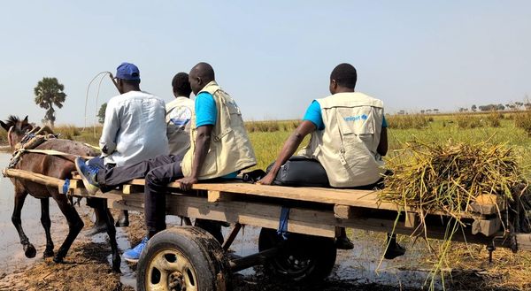Image : Unicef Tchad