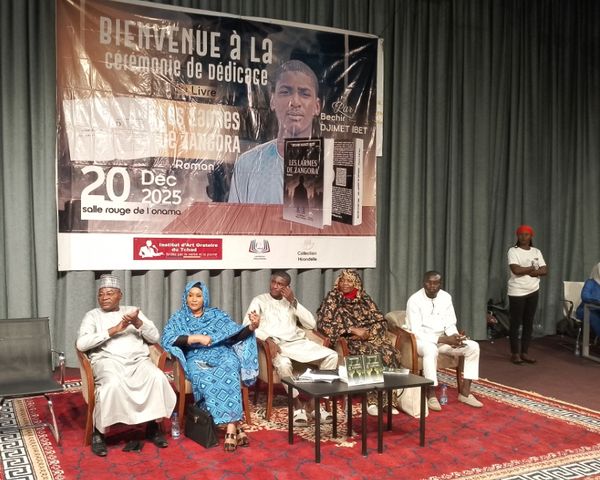 Littérature : Bechir Djimet Ibet, 16 ans, éveille les consciences avec « Les Larmes de Zangora »