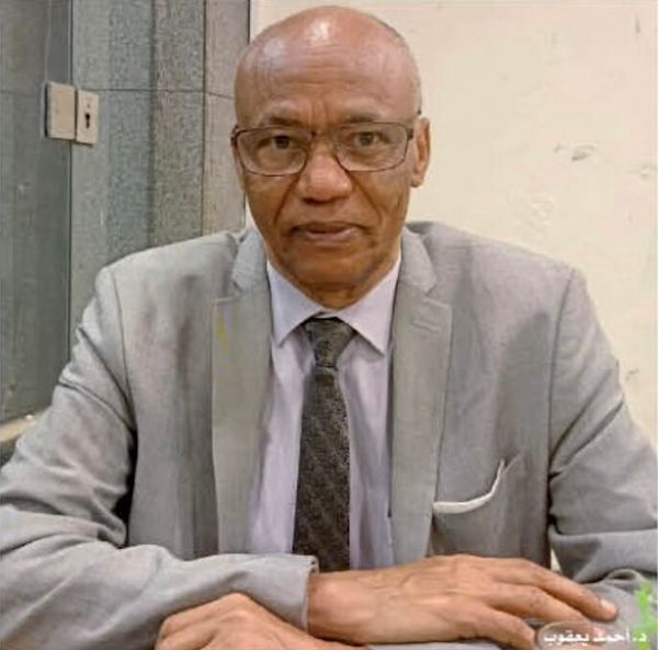 Dr Ahmat Yacoub : "L’Afrique est capable de vaincre le terrorisme… et l’expérience égyptienne en est la meilleure preuve" (Al-Ahram)