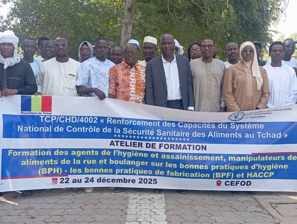 Tchad : la FAO et le ministère de la Santé renforcent la sécurité sanitaire des aliments