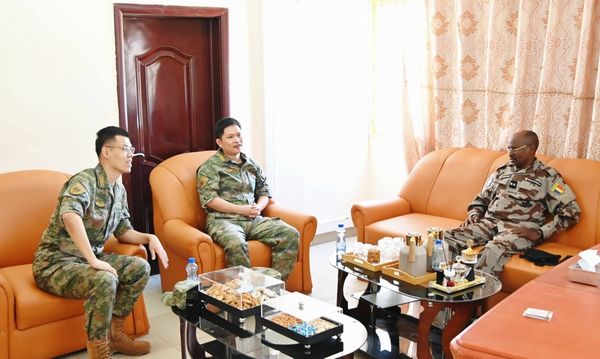 Tchad-Chine : Le professionnalisme de la Sécurité Publique à l'honneur
