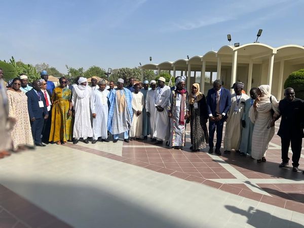 أنجمينا تحتضن أعمال تقييم جهود القضاء على دودة غينيا بمشاركة شركاء دوليين