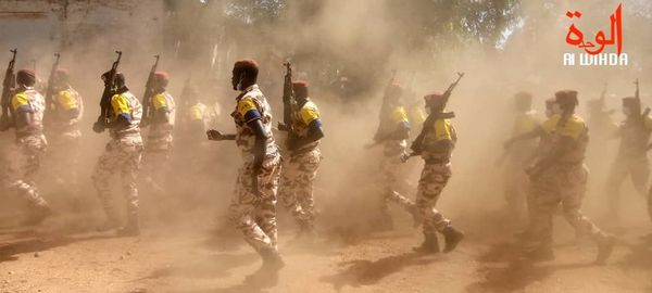 Tchad : deux officiers radiés des effectifs des armées