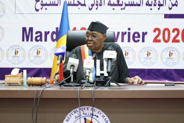 Tchad : session parlementaire, le Sénat appelle à l’unité nationale et dénonce les incursions armées