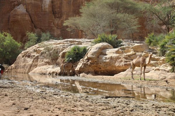Tchad : FICSA 6, immersion exceptionnelle au cœur du massif de l’Ennedi