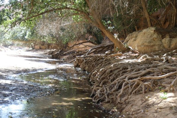 Tchad : un touriste toujours porté disparu après une excursion