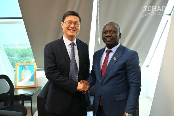 Tchad-Chine : échanges sur le renforcement de la coopération bilatérale