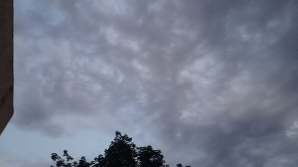 Tchad : au Guéra, la première pluie de l'année annonce le retour des activités agricoles