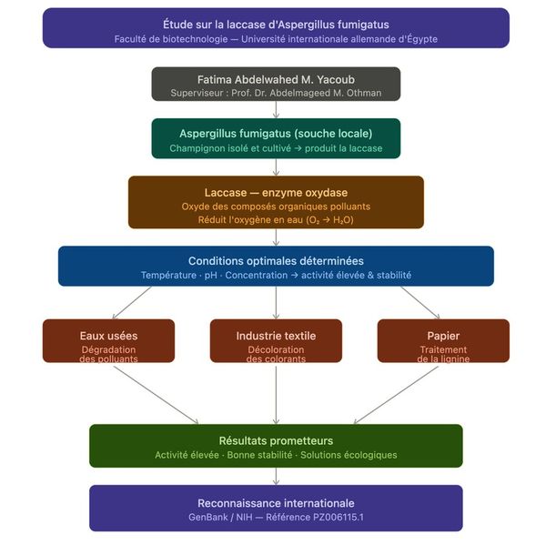 Recherche : Fatima Abdelwahed, étudiante tchadienne, met en lumière une enzyme capable de lutter contre la pollution