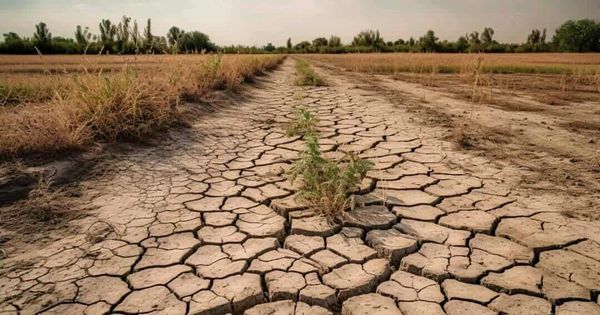 Crise environnementale au Tchad : une menace silencieuse mais dévastatrice