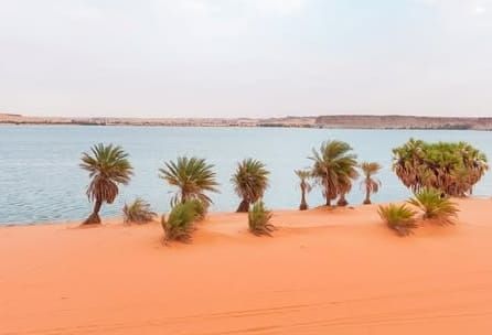 L'enseignement du tourisme à l'école primaire : une stratégie pour l'avenir