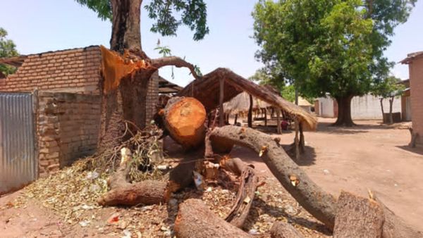 Tchad : aide d'urgence au Moyen-Chari, le conseil provincial soutient les sinistrés