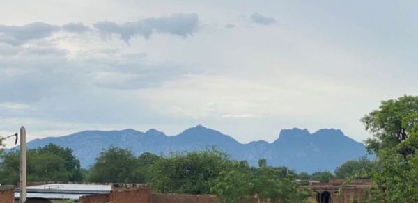 Tchad : arrestation de trois coupeurs de route à Bargangal au Guéra