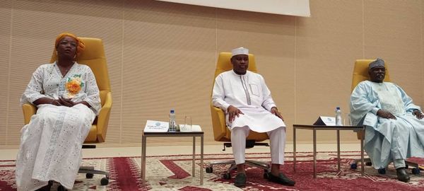Tchad : le Maire de N'Djamena mobilise pour prévenir les inondations