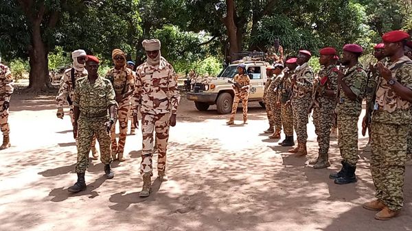 Le BIR du Cameroun et la Force Mixte Tchad-RCA démantèlent un réseau de voleurs de bétail