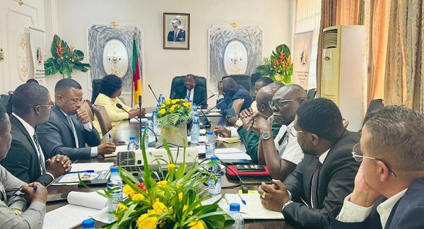 Cameroun : le gouvernement suspend les importations de maïs pour soutenir les producteurs locaux