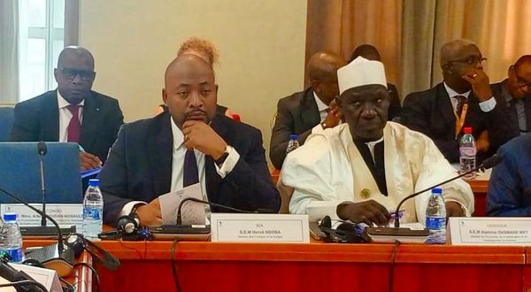 La Centrafrique renforce son engagement pour les forêts du Bassin du Congo