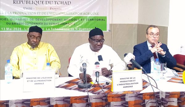 Tchad : lancement du projet DEBACO pour renforcer la filière coton