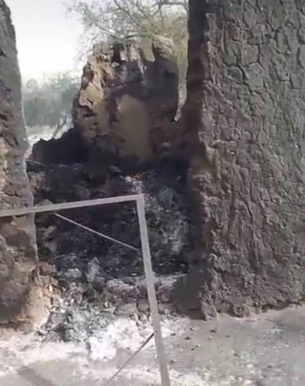 Tchad : incendie à Yoro-Gondjé, appel à l'aide après des pertes importantes