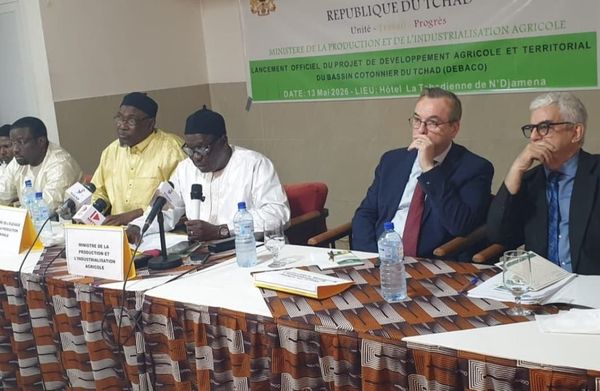 Coton : le Tchad mise sur un appui français de 22,5 millions USD pour relancer sa filière