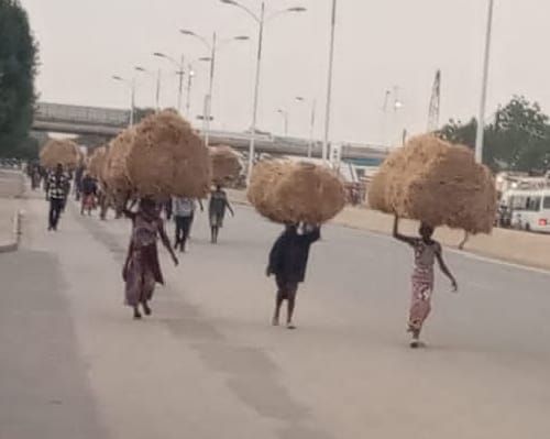 Tchad : repenser un modèle économique à bout de souffle