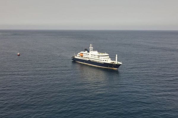 Chronologie de l'épidémie de hantavirus à bord d'un paquebot de croisière